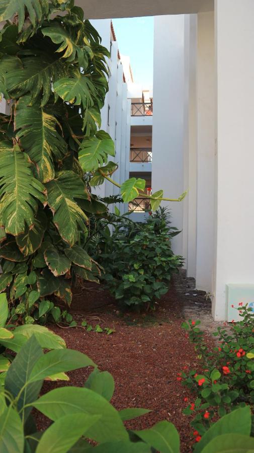 Apartamento En Tenerife Sur, Parque Santiago 2 อาโรนา ภายนอก รูปภาพ